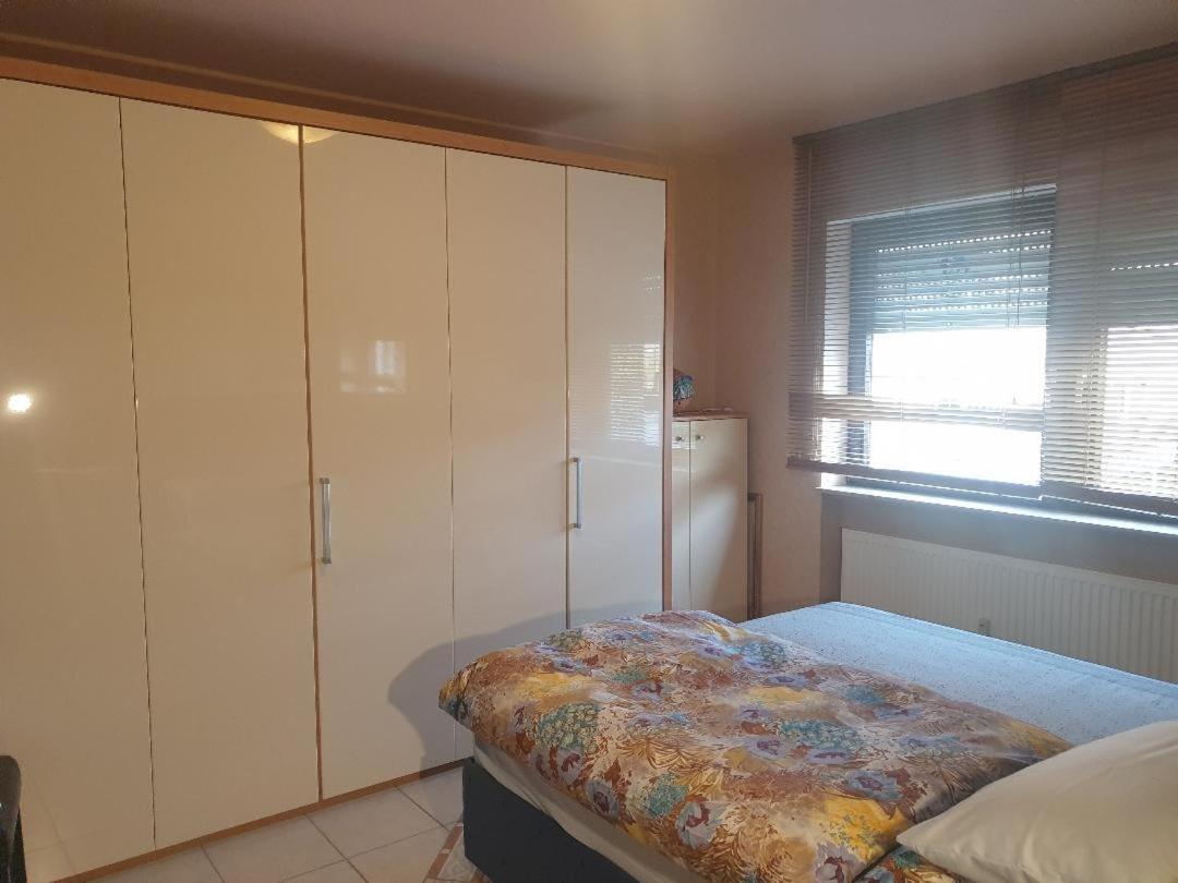Rose'S Ferienwohnung Freigericht Kültér fotó